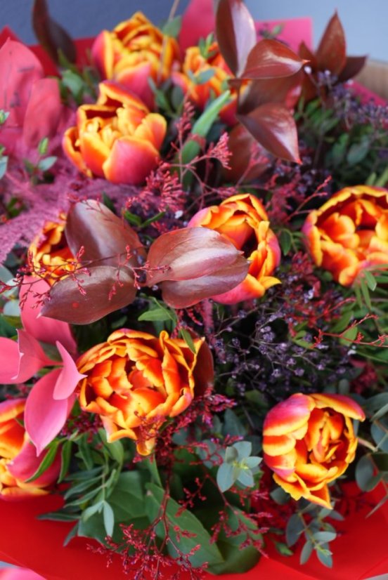 Kytica z exkluzívnych pivonkových tulipánov - Veľkosť kytice a počet tulipánov: Veľkosť XL - 13 tulipánov