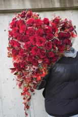 Kráľovské vyznanie lásky