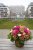 Kytica - Milion Roses