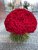 Grand Red Passion – 319 Red Roses