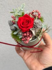 Mini flower box green – stabilizovaná ruža Natural