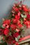 Red Passion Flower Box