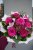 Kytica „Pink Velvet“