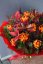 Flame Tulips