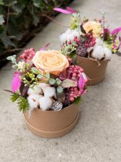 Kvetinový box so stabilizovanou ružičkou - Apricot