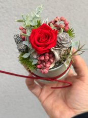 Mini flower box green – stabilizovaná ruža Natural
